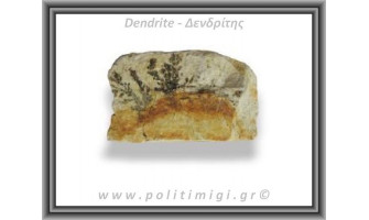 Πέτρα Μωυσή - Δενδρίτης Πυρολουσίτης