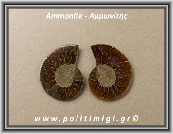 ΑΑ-Αμμωνίτης Ακατέργαστος 001 16,23gr 3,7x3,5cm