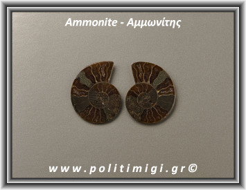 Αμμωνίτης Ακατέργαστος 002 14,79gr 3,5x2,8cm