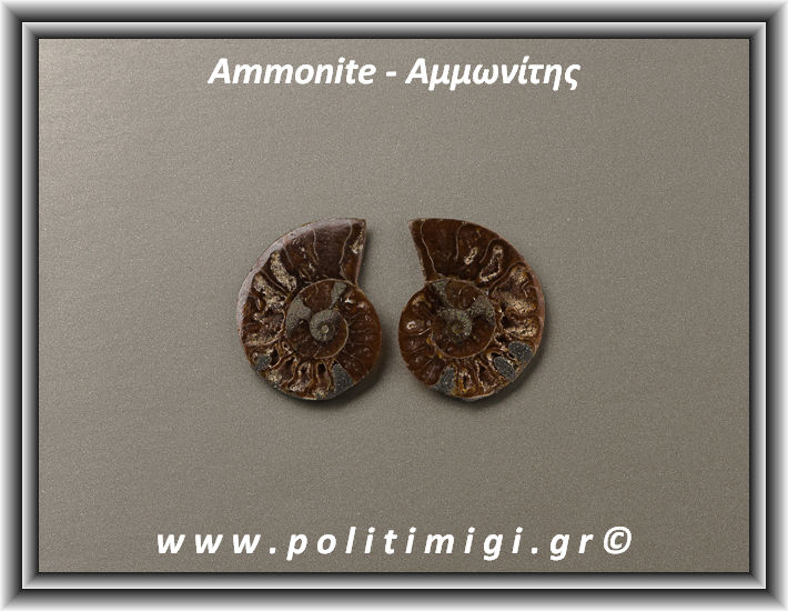 ΩΨ-Αμμωνίτης Ακατέργαστος 004 08,45gr 3x2,4cm