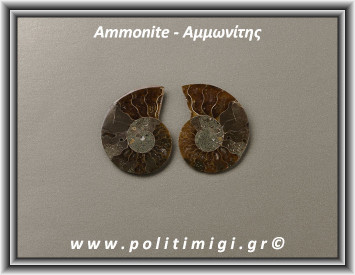 Αμμωνίτης Ακατέργαστος 009 10,78gr 3,3x2,5cm