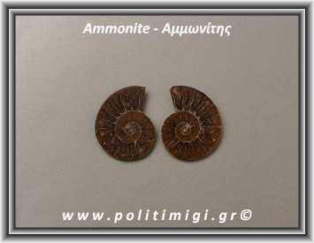 Αμμωνίτης Ακατέργαστος 010 08,91gr 3x2,5cm