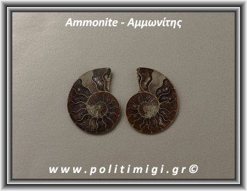 Αμμωνίτης Ακατέργαστος 011 13,92gr 3,5x3cm