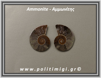 Αμμωνίτης Ακατέργαστος 012 10,15gr 3x2,5cm