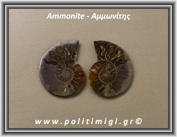 Αμμωνίτης Ακατέργαστος 013 15,68gr 3,5x3cm