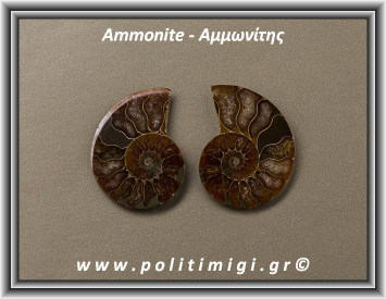 Αμμωνίτης Ακατέργαστος 017 15,69gr 3,7x3cm