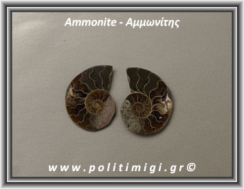 Αμμωνίτης Ακατέργαστος 021 10,83gr 3,5x2,5cm