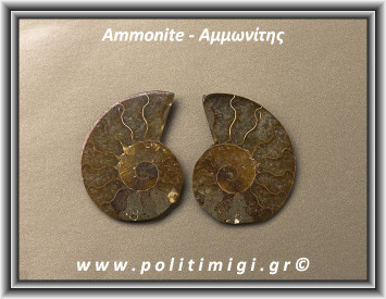 Αμμωνίτης Ακατέργαστος 022 15,84gr 4x3cm