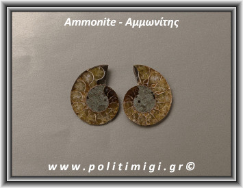 Αμμωνίτης Ακατέργαστος 032 13,67gr 3x3cm