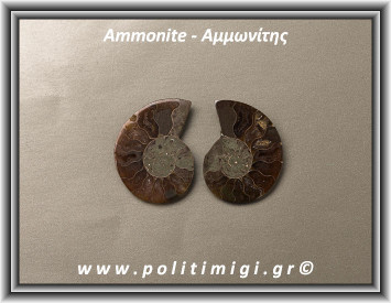 Αμμωνίτης Ακατέργαστος 037 13,63gr 4x3cm