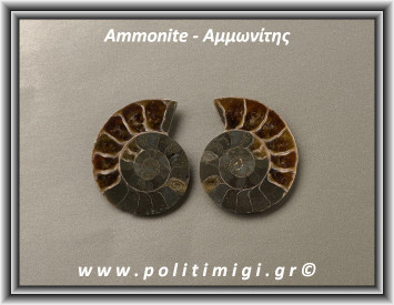 Αμμωνίτης Ακατέργαστος 042 17,88gr 3,5x3m