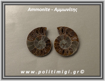 Αμμωνίτης Ακατέργαστος 044 17,23gr 3,2x2,6cm