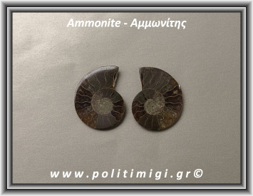 Αμμωνίτης Ακατέργαστος 047 14,11gr 3,5x2,8cm