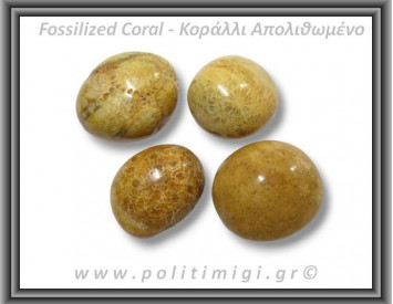 Κοράλλι Απολιθωμένο Καφέ Βότσαλο Large 15-30gr 2-4cm