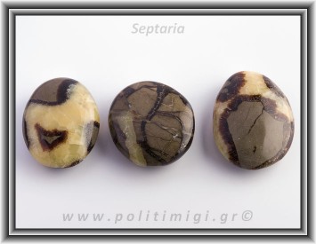 Σεπτάρια Palm Stone 3,5-4cm