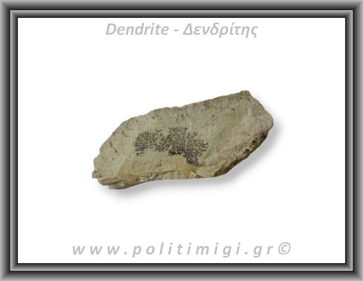 Δενδρίτης Πυρολουσίτης Ακατέργαστος 267gr 10,5x4cm