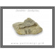 Δενδρίτης Πυρολουσίτης Ακατέργαστος 242gr 10x6,5cm