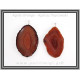 Αχάτης Πορτοκαλί Μενταγιόν Φέτα 5-5,5cm 9,5-14,5gr