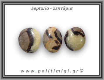 Σεπτάρια Palm Stone Large 15-30gr 2-4cm