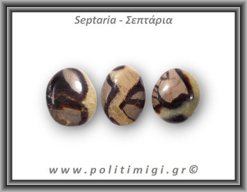 Σεπτάρια Palm Stone Large 15-30gr 2-4cm