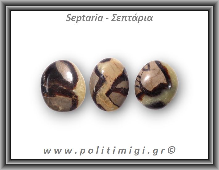 Σεπτάρια Palm Stone Large 15-30gr 2-4cm