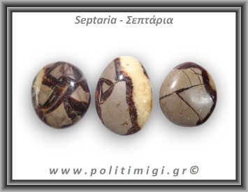 Σεπτάρια Palm Stone XLarge 31-50gr 3-5cm