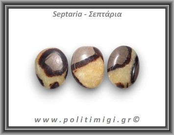 Σεπτάρια Palm Stone Large 15-30gr 2-4cm