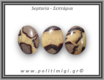 Σεπτάρια Palm Stone XLarge 31-50gr 3-5cm