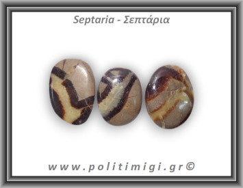 Σεπτάρια Palm Stone Large 15-30gr 2-4cm