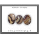 Σεπτάρια Palm Stone Large 15-30gr 2-4cm