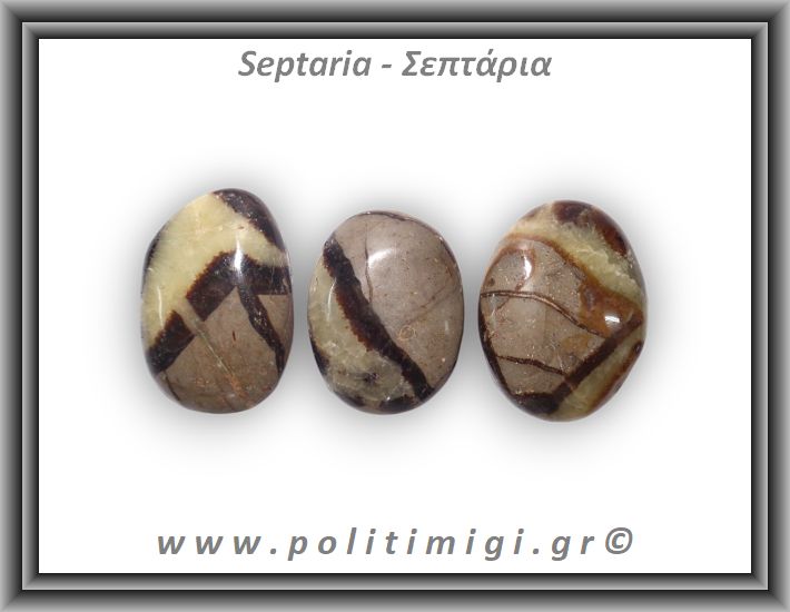 Σεπτάρια Palm Stone Large 15-30gr 2-4cm