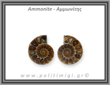 Αμμωνίτης Ζευγάρι Large 001 19,79gr 3,4x2,6cm