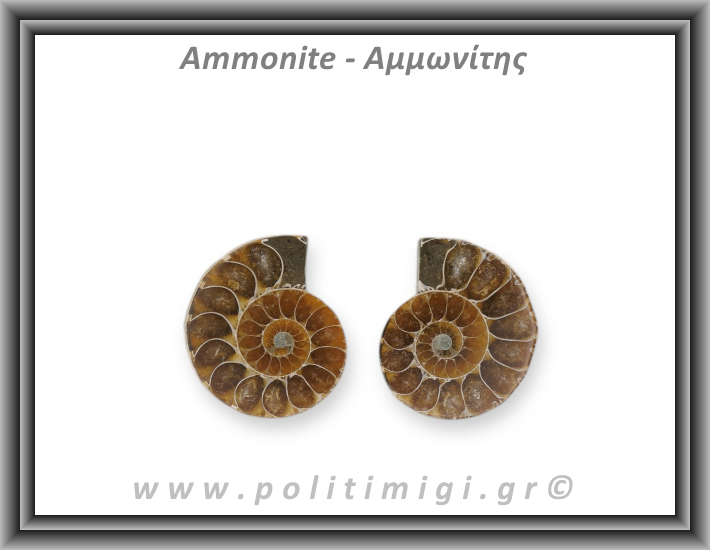 Αμμωνίτης Ζευγάρι Large 003 17,89gr 3,2x2,6cm