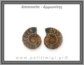 Αμμωνίτης Ζευγάρι Large 004 18gr 3,4x2,7cm