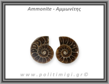 Αμμωνίτης Ζευγάρι Large 006 15,62gr 3,2x2,4cm