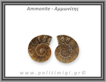 Αμμωνίτης Ζευγάρι Large 008 18,66gr 3,4x2,8cm