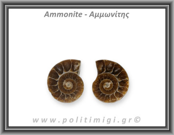 Αμμωνίτης Ζευγάρι Large 009 13,61gr 3,2x2,8cm