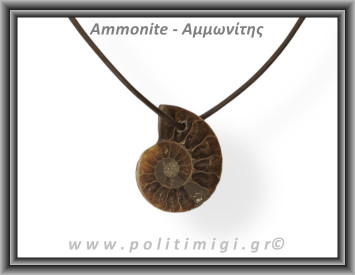 Αμμωνίτης Μενταγιόν 05 3,84gr 2,8cm