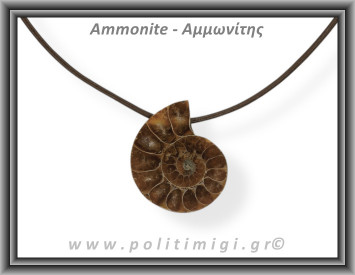 Αμμωνίτης Μενταγιόν 03 5,44gr 2,9cm