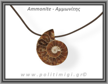 Αμμωνίτης Μενταγιόν 02 6,29gr 3,1cm