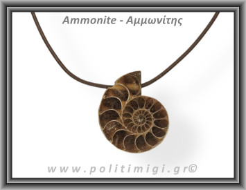 Αμμωνίτης Μενταγιόν 06 6,94gr 3,1cm