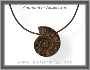 Αμμωνίτης Μενταγιόν 08 8,18gr 3,1cm
