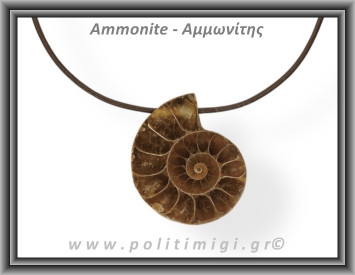 Αμμωνίτης Μενταγιόν 09 8,67gr 3,4cm