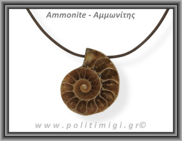 Αμμωνίτης Μενταγιόν 04 9gr 3,4cm