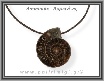 Αμμωνίτης Μενταγιόν 26 10,38gr 3,5cm
