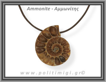 Αμμωνίτης Μενταγιόν 17 10,39gr 3,5cm
