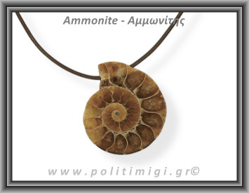 Αμμωνίτης Μενταγιόν 14 10gr 3,5cm