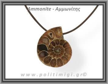 Αμμωνίτης Μενταγιόν 30 11,11gr 3,5cm