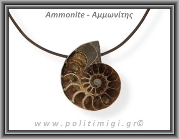 Αμμωνίτης Μενταγιόν 13 11,59gr 3,5cm