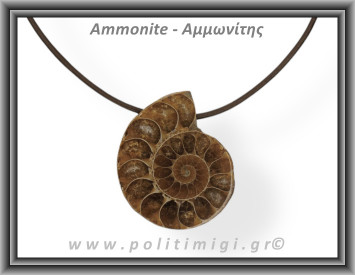 Αμμωνίτης Μενταγιόν 29 11,68gr 3,5cm